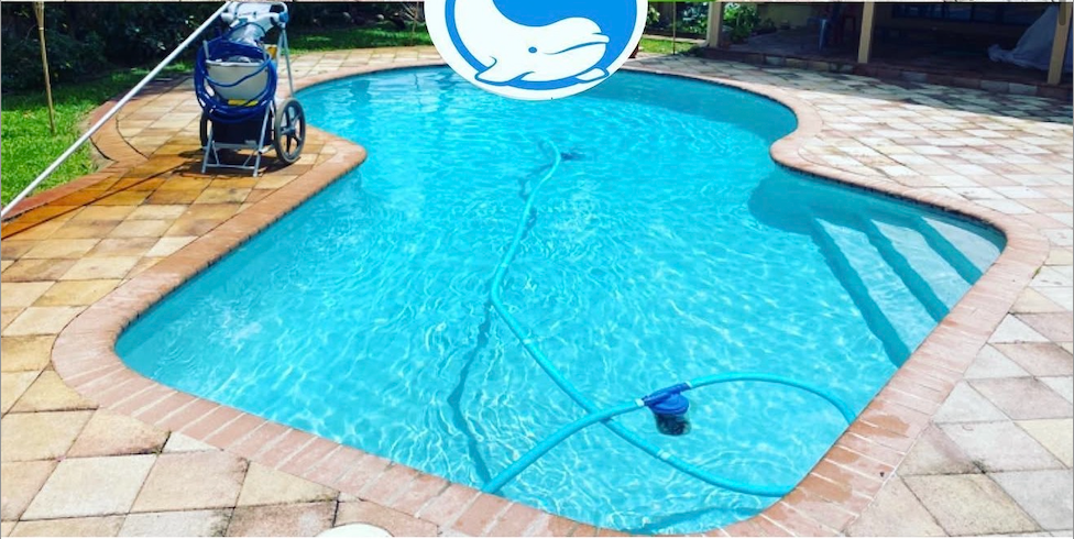 Crystal clear blue freeform pool with screen enclosure after recovery
