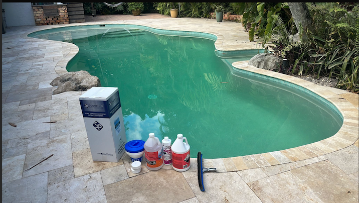 Green cloudy pool with tropical landscaping before treatment