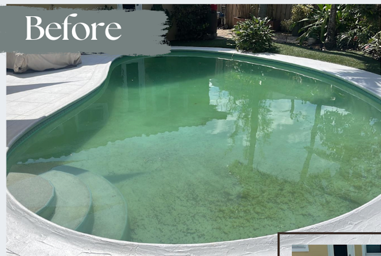 Green algae-filled pool with murky water before treatment